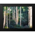thumbnail image 2 of Urban Road 24x19 Black Modern Framed Museum Art Print Titled - Eucalypt, 2 of 5