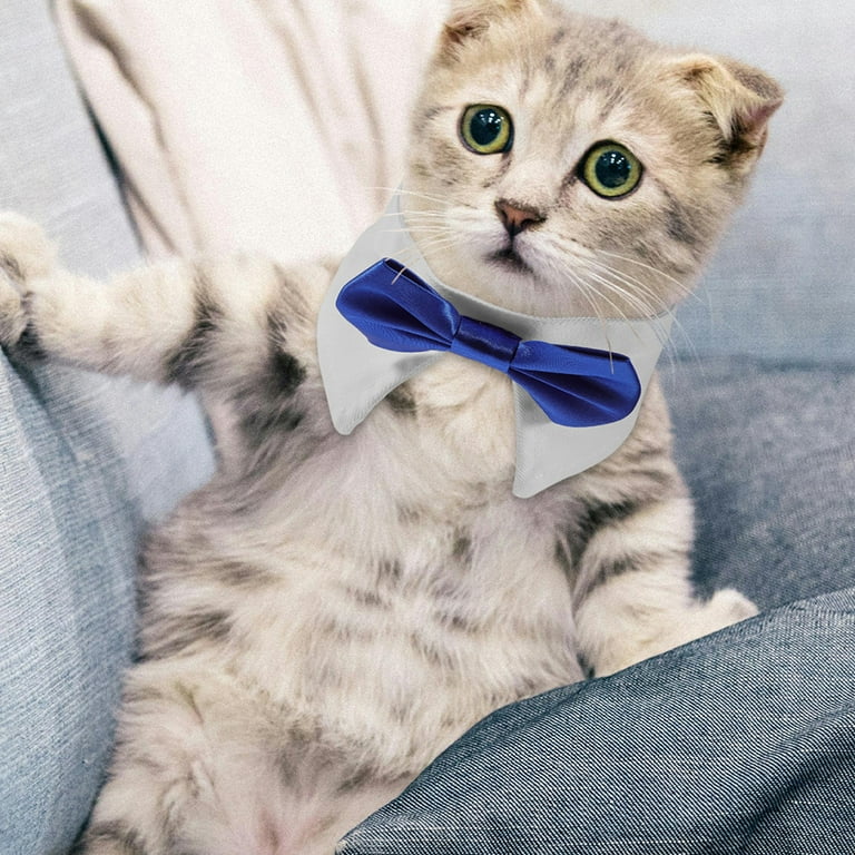 Dog Tuxedo Collar Kitten The Cat Puppy Collars for Kittens Bow Tie Adjustable Pet
