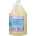 thumbnail image 2 of Jabón líquido para platos Ginger Lily Farms, 1 galón (1280 ml), 2 of 6