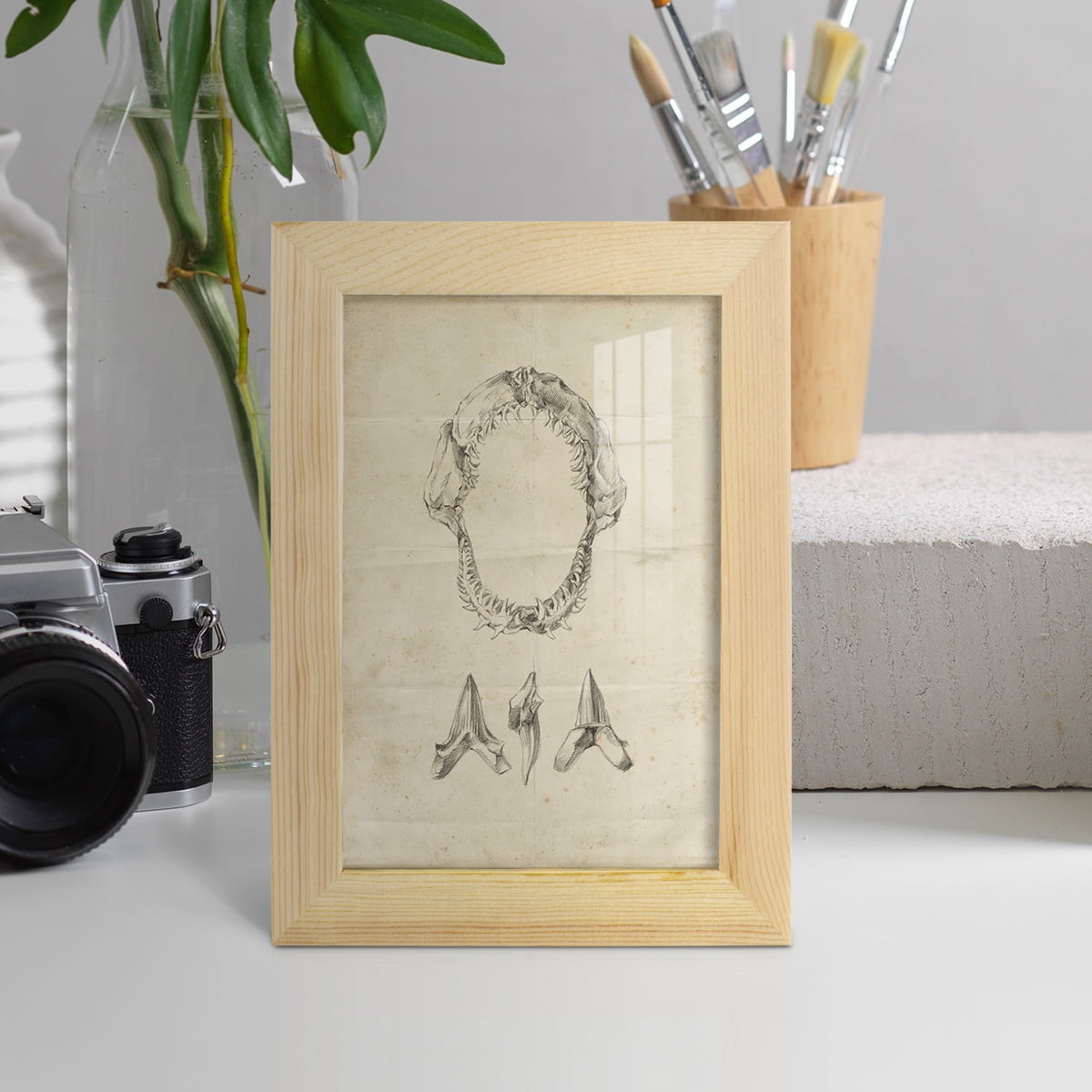 Shark Study I - Framed Print w/glass - Natural Wood