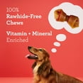 thumbnail image 3 of DreamBone Peanut Butter Flavored Rawhide-Free Dog Chews, Mini, 45.2 Oz. (80 Count), 3 of 10