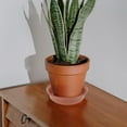 thumbnail image 4 of CIMAXIC 2 Pcs Plateau pour Plantes en Pot Plastique Rond pour Protection de Sol, 4 of 7