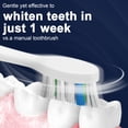 thumbnail image 5 of T2405 Sonic Electric Toothbrush, 4 Brushing Modes, Smart Timer & IPX7 Waterproof, for Adults and Kids, Black, 5 of 7