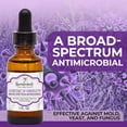 thumbnail image 2 of Ingrediente cosmético ResurrectionBeauty Leucidal SF Complete 30 ml, 2 of 9