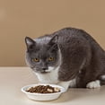 thumbnail image 5 of 100-Pack Disposable Pet Food Bowls Biodegradable Thickened Paper Dishes for Wet Food & Stray Animal Feeding,Eco-Friendly & Convenient, 5 of 5