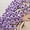 Purple Finished Product, variant on Flower Bouquet Blanket, Rose Bouquet Blanket, Soft and Lightweight Romantic Crochet Knitted Throw Blankets for Couch, Sofa and Bed (White Rome Handwoven, 80cm)