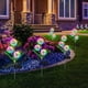 thumbnail image 2 of Lámpara solar enchufable de diente de león para exteriores, impermeable, luminosa, simulación de cebolla de tres cabezas, decoración de jardín, lámpara de césped, 2 of 3