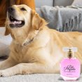 thumbnail image 5 of KMWGRE Pet Perfume Floral Scented Spray for Dogs and Cats High Appearance Grooming Care 50ml Pink 10cm, 5 of 5