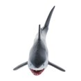 thumbnail image 2 of 2x Preciosa de animales de plástico bajo el modelo Sea Life para Zulema Niños Ciencia Naturaleza, 2 of 8