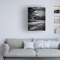 thumbnail image 3 of Brian Carson 'Gullwing Lake No 4' Canvas Art, 3 of 3