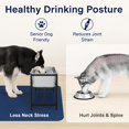 thumbnail image 2 of Bebedero elevado para perros MeoWriental de 2.5 galones para razas grandes, 2 of 8
