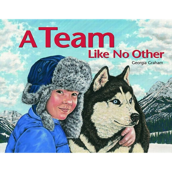 A Team Like No Other (Paperback)