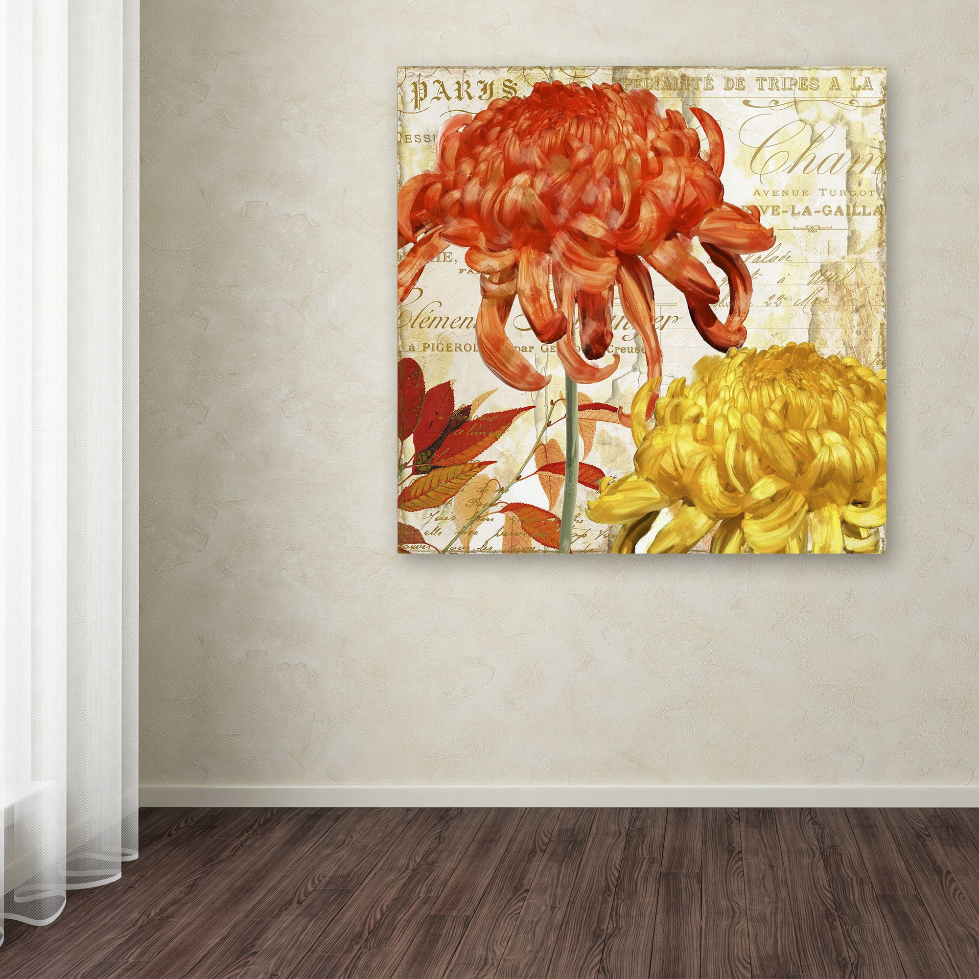 Trademark Fine Art "Chrysanthemums I" Canvas Art by Color Bakery