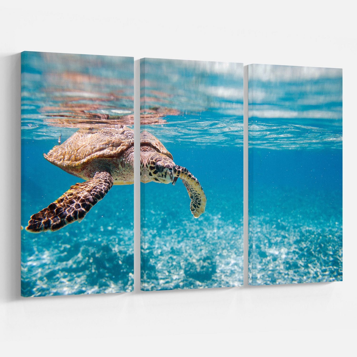 Design Art Large Hawksbill Sea Turtle Canvas Print