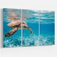 thumbnail image 1 of Design Art Large Hawksbill Sea Turtle Canvas Print, 1 of 3