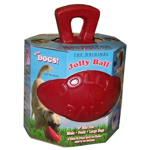 Jolly Pets Dual Jolly Ball