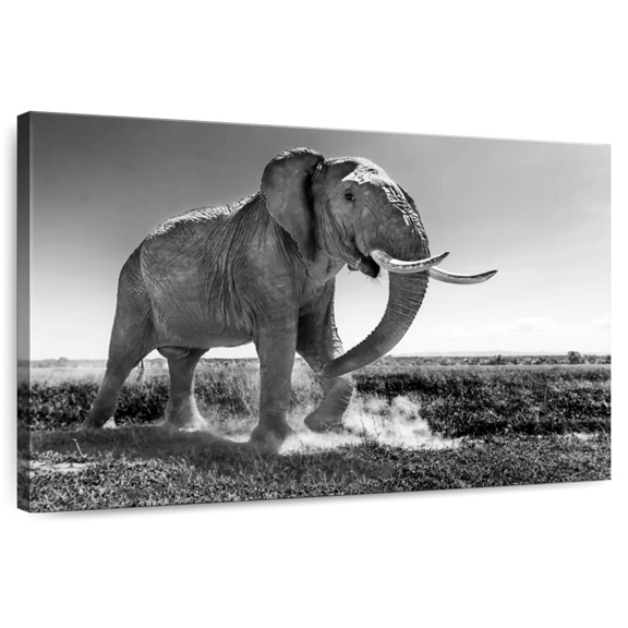 Elephant Stock Grassland Elephant Wall Art - Horizontal Canvas Wall Art - Living Room Wall Decor - Animal Canvas - Black And White Decor - 12" x 8"