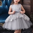 thumbnail image 2 of Odeerbi 1-4Y Toddler Girls Cute Dresses Small And Medium-sized Children's Party Dresses Skirt Performance Outfit Puffy Princess Skirt Baby Clothes Gray, 2 of 8