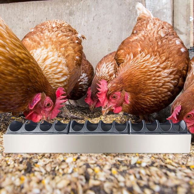 Comedero para aves de corral de metal ligero y sin residuos, bandeja de alimentación para aves, dispensador de alimento para , patitos, gansos 60 cm x 11 cm x 75 cm