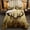 3D Deer, variant on Erosebridal Sea Turtle Comforter Set Queen Size,Shark Bedding Set,Ocean Animals Fishes Down Comforter,Tortoise Rainbow Coral Duvet Insert,Home Textiles Comforters for Teens