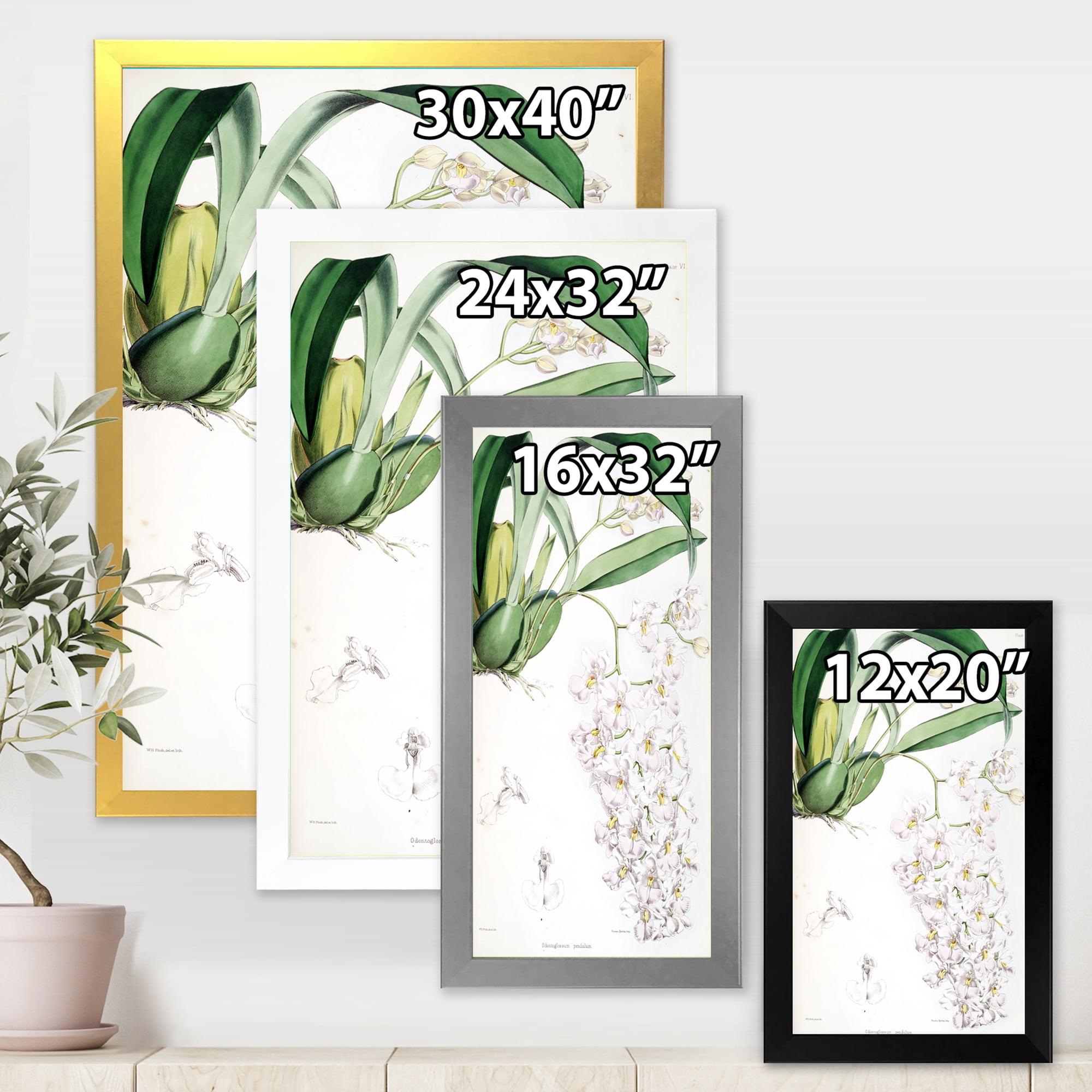 Designart 'Ancient White Orchid II' Traditional Framed Art Print