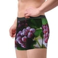 thumbnail image 4 of Kll Grape Men'S Cotton Boxer Briefs Underwear-Small, 4 of 9