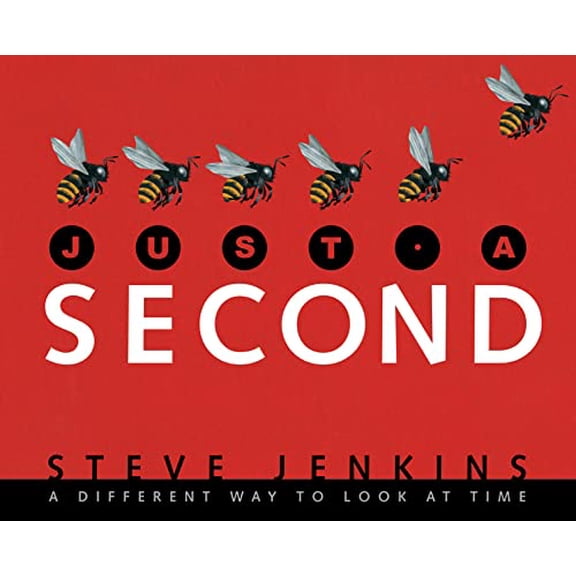 Pre-Owned Just a Second: A Different Way to Look at Time (Hardcover) 0618708960 9780618708963