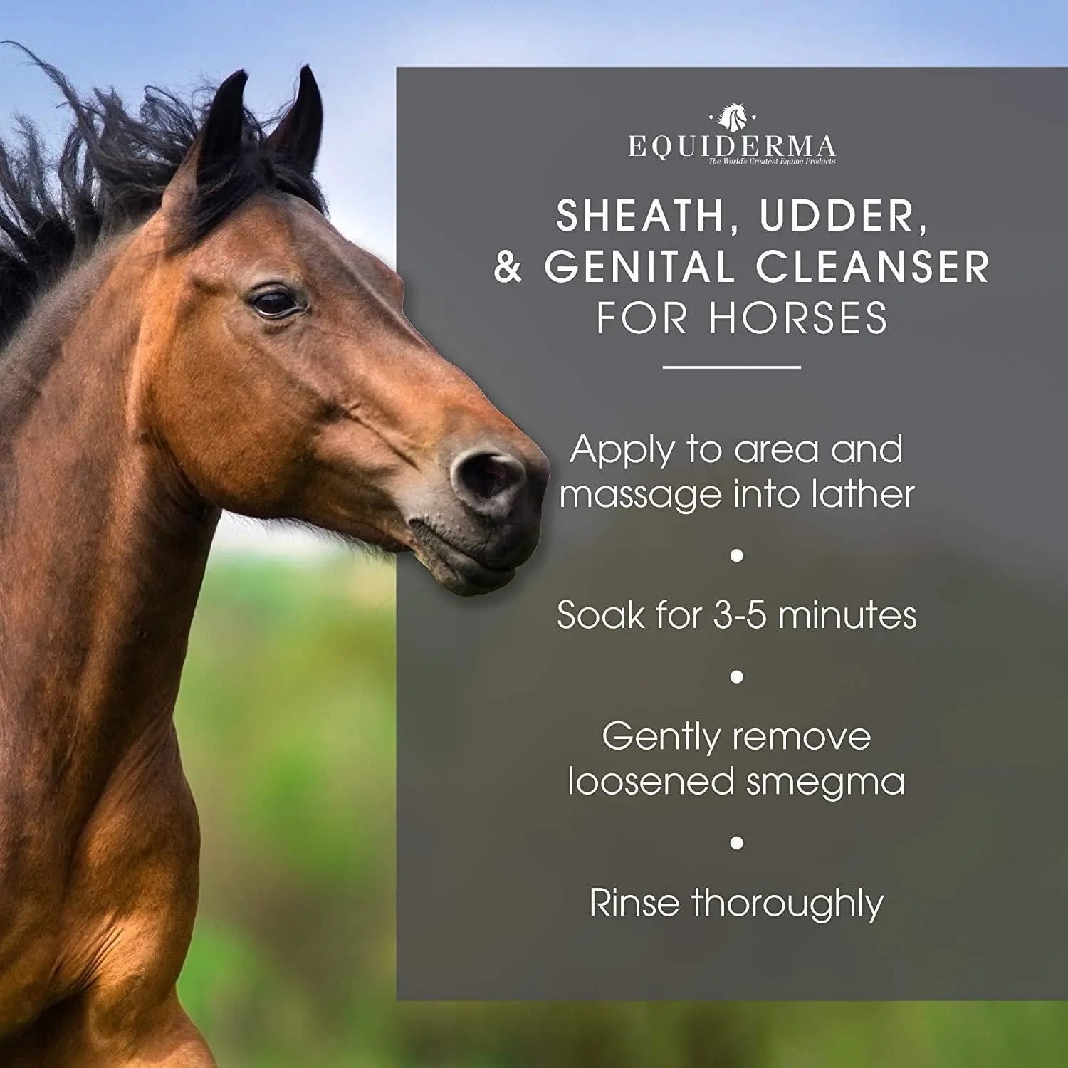 Equiderma Sheath, Udder & Genital Cleanser for Horses