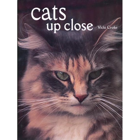 Cats Up Close (Hardcover)