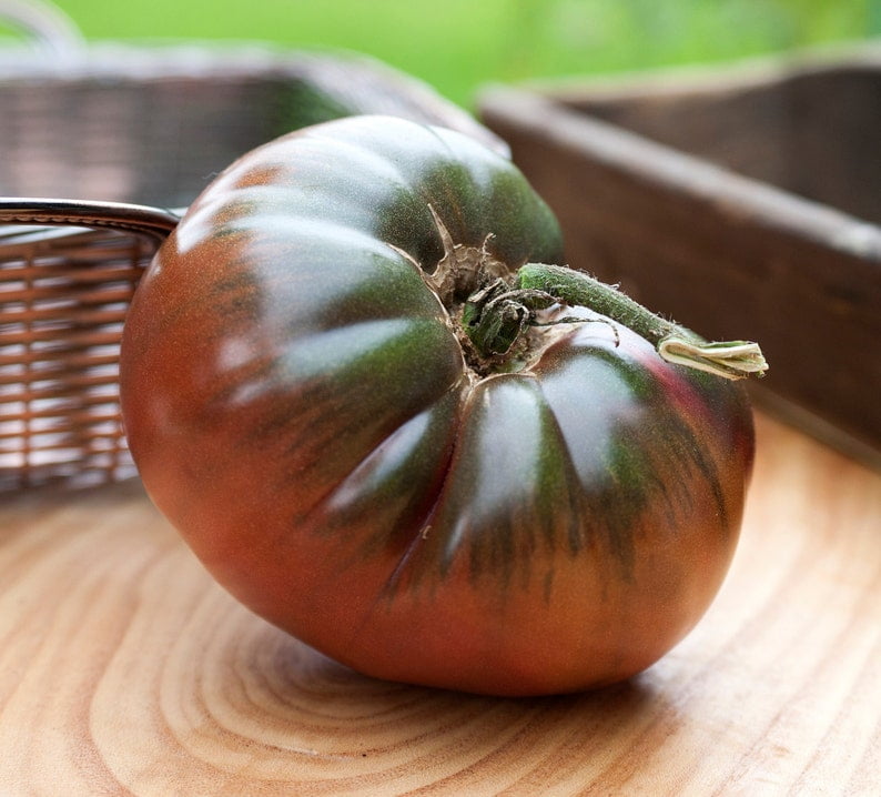 1 Carbon Black Heirloom Tomato Plant 