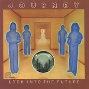 Look Into The Future