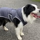 thumbnail image 3 of Ropa gris oscuro con capucha para mascotas, abrigo de invierno para perros, chaqueta cálida, ropa con cinturón para perros MFZFUKR BST3000728-1, 3 of 6