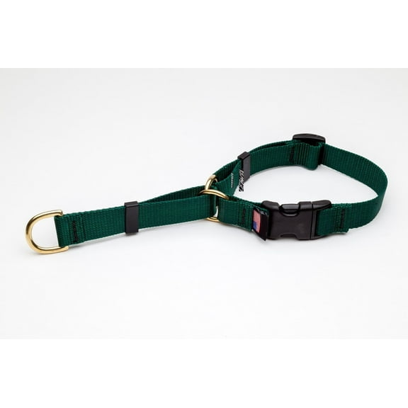 Martingale Dog Collar High Quality Adjustable Heavy Soft Webbing Brass Hardware (Forest Green,xSmall 10 to 14 Inches)