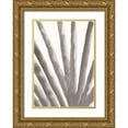 thumbnail image 1 of Artographie Studio 18x24 Gold Ornate Wood Framed with Double Matting Museum Art Print Titled - Aloe Vera, 1 of 4