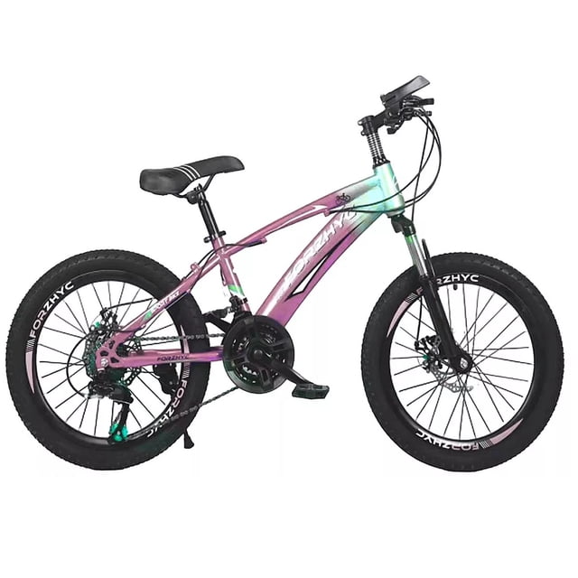 Bicicleta De Montaña 21 Vel. Suspension Frenos De Disco R-24