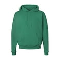 thumbnail image 1 of Fleece Ecosmart Hooded Sweatshirt, 1 of 1