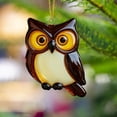 thumbnail image 7 of 2D Flat Bird Christmas Ornament - Acrylic Winter Bird Pendant, Print Break-Proof Tree Tags Cute Stocking Stuffer for Bird Lovers, 7 of 7