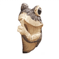 thumbnail image 1 of Quiet Frog Tree Peeker Garden Tree Sculptures Outdoor Tree Face Garden Tree Hugger Statue Indoor Outdoor A, 1 of 9