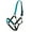 Teal, variant on Showman Full Size Horse Nylon Colored Neoprene Lined Halter