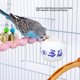 thumbnail image 4 of Taza De Alimentación Para Pájaros Para Paloma Cacatúa Loro, Material ABS, Fácil De Limpiar, Tamaño Conveniente, Uso Versátil, 4 of 8