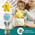 thumbnail image 3 of Easter Baby Plush Playset with Easter Basket, Bunny Holding Carrot, Easter Egg, and Squeaky Chicken, Sensory and Decorative Toys for Babies & Newborns, 3 of 13
