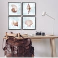 thumbnail image 2 of Stupell Industries Underwater Sea Life Shells Graphic Art Black Framed Art Print Wall Art, Set of 4, Design by Marcus Prime, 2 of 7