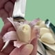 thumbnail image 4 of Xihbxyly Pelador de Ajos de Acero Inoxidable, Pinza Ergonómica para Ajos, Diseño Compacto y Fácil de Limpiar, Herramienta de Cocina Versátil, Ideal para Pelar Ajos, Descamar Pescado y Retirar Espinas, 4 of 7