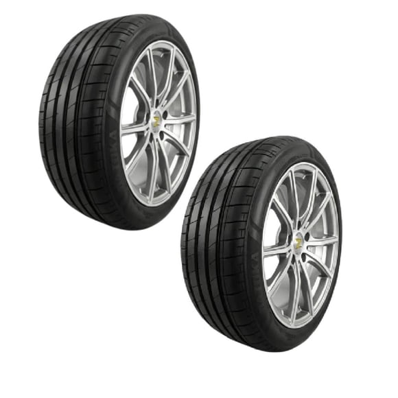 Paquete de 2 Llantas 235/55R17 Zwarthz Dakota 103W
