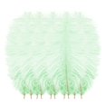 thumbnail image 2 of 10 PCS Ostrich Feathers,Bulk Soft Natural Feathers for Crafts Centerpieces Party Wedding Home Decorations Dream Catchers Vases (Light Green 8-9.8 Inch), 2 of 5