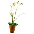 thumbnail image 2 of designs by lauren artificial phalaenopsis orchid & grass plant, 2 of 2