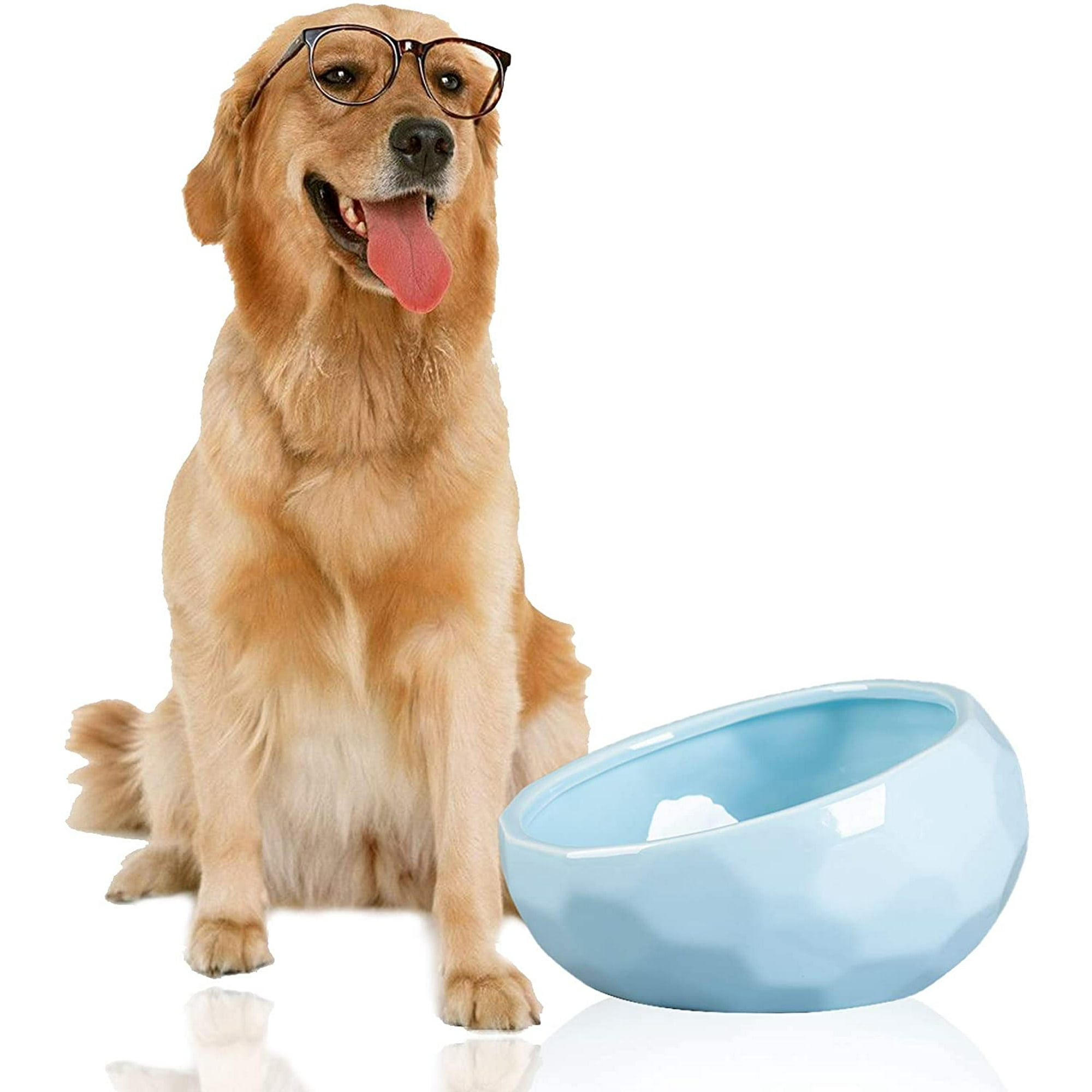 Iguohao Ceramic Dog Bowls 7 Inch Animal Pet Food Bowl Dog Water Dish For Wet Food Dry Food Water Bowl Blue Other 9.29 X 9.06 X 5.67 Inches
