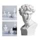 thumbnail image 4 of Busto de cabeza griego atemporal para decoración del hogar e inspiración artística. David, 4 of 9