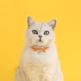 thumbnail image 3 of sunsanly Colored Pet Collar with Bell Cartoon Pattern Non-Fading Adjustable Denim Puppy Cat Accessories Fashionable Embroidered Pendant for Daily Dressing Photos, 3 of 8