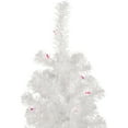 thumbnail image 3 of Northlight 4' Pre-Lit White Pine Slim Artificial Christmas Tree - Pink Lights, 3 of 5